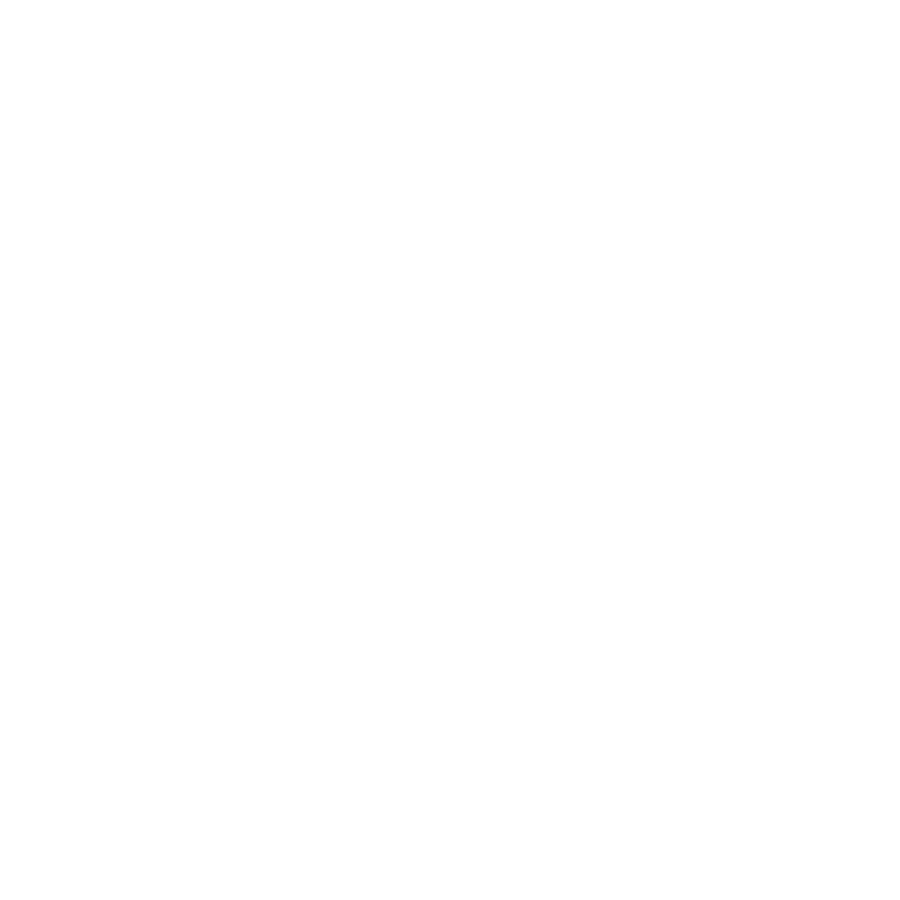Logo APU Old Wild West Udine