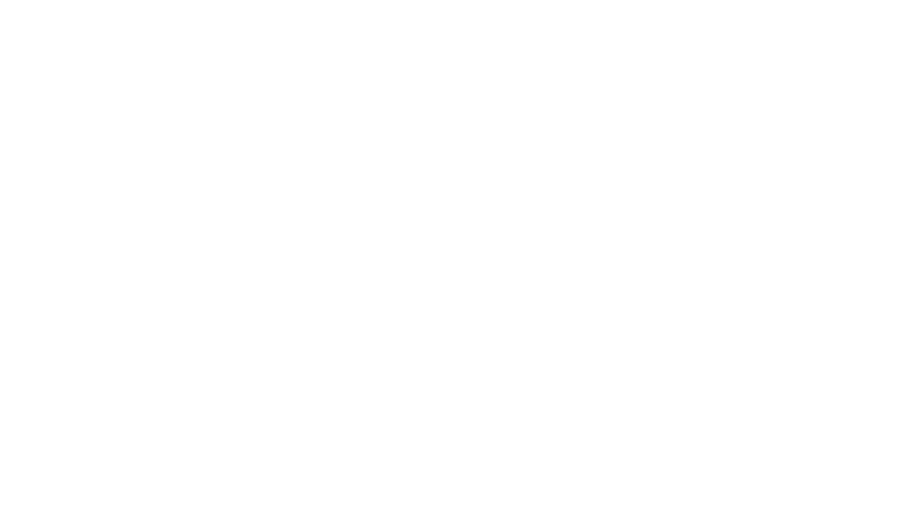 Logo BC Roma SPQR